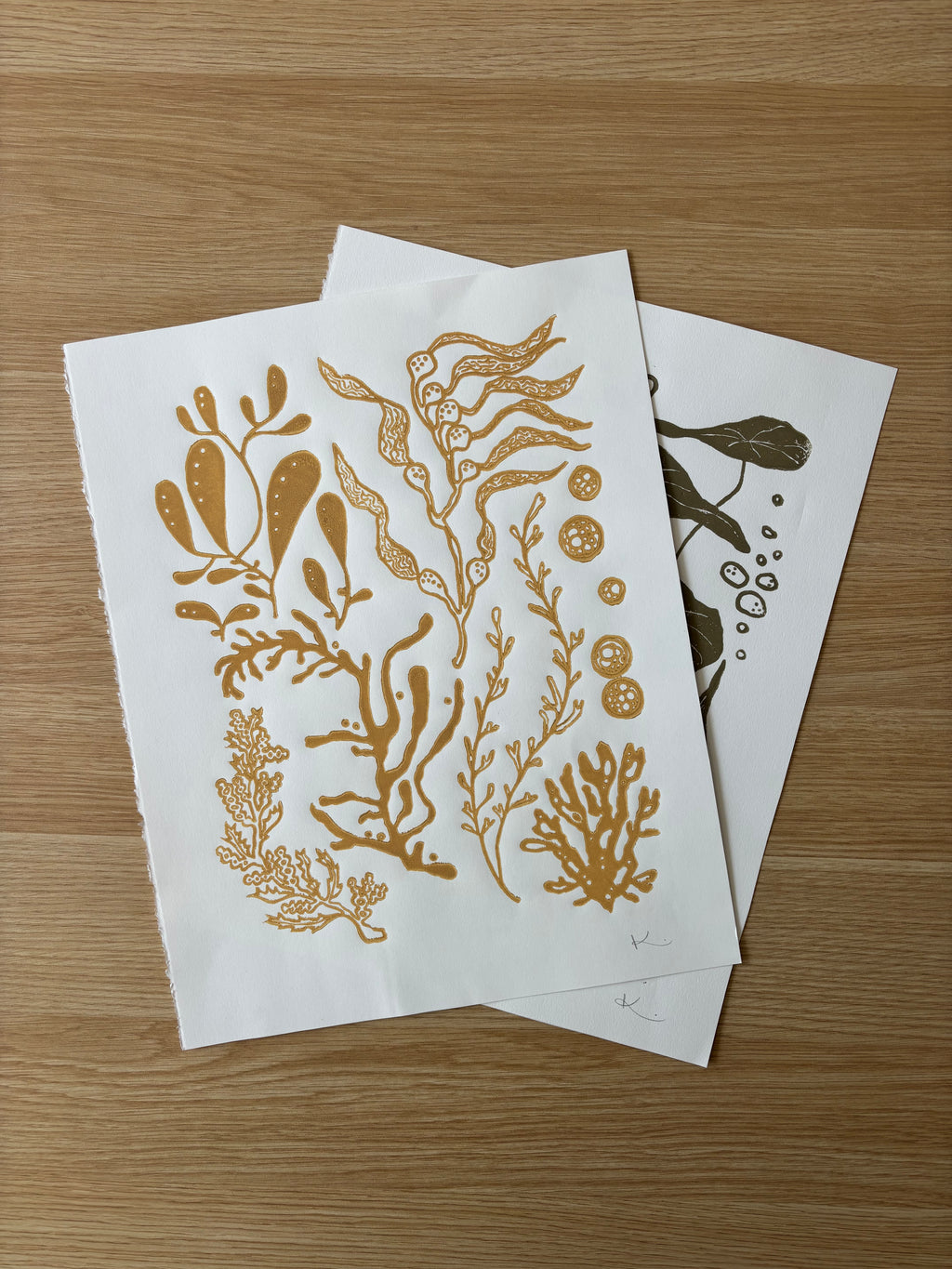 Kelp & Friends