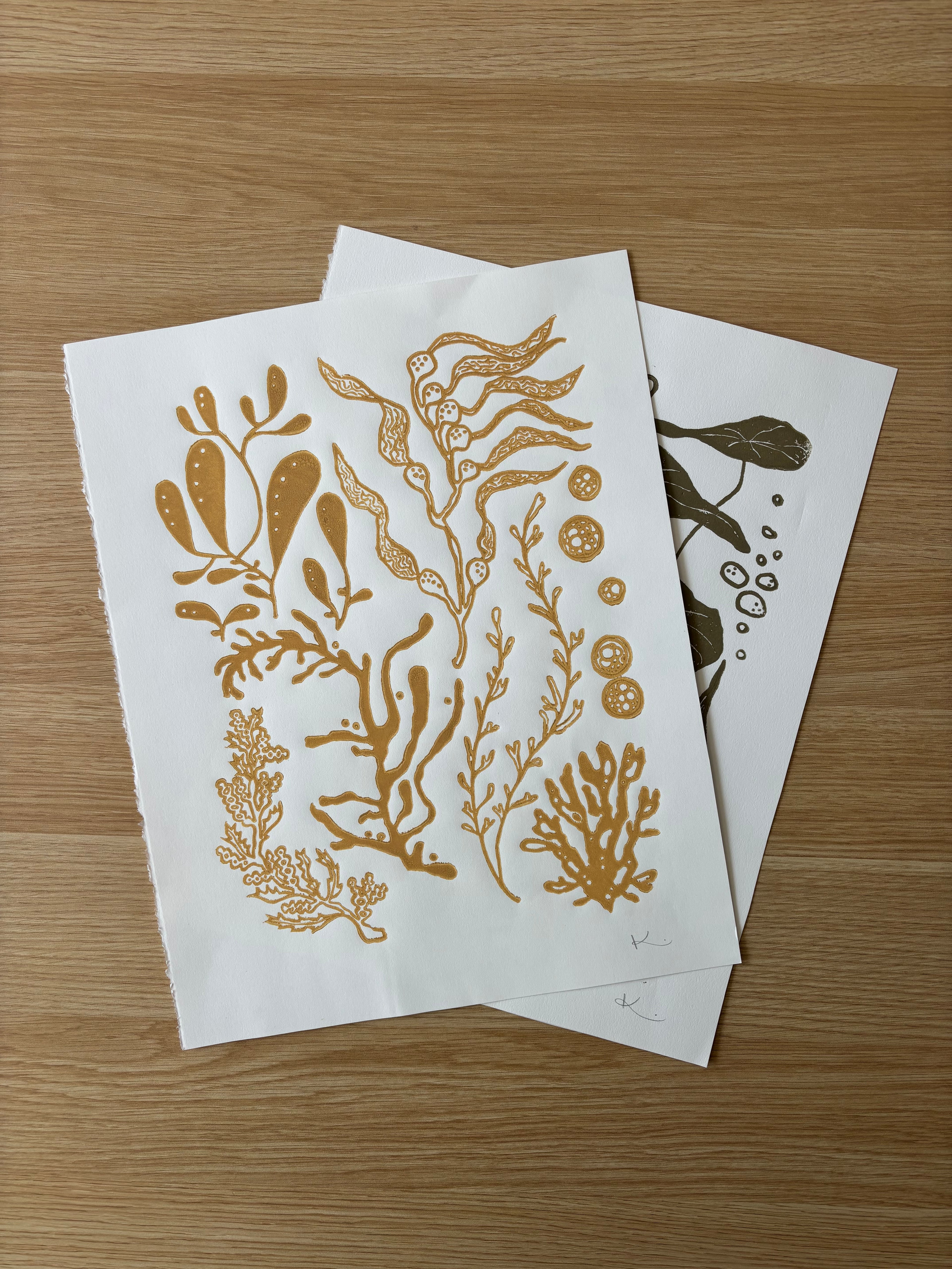 Kelp & Friends