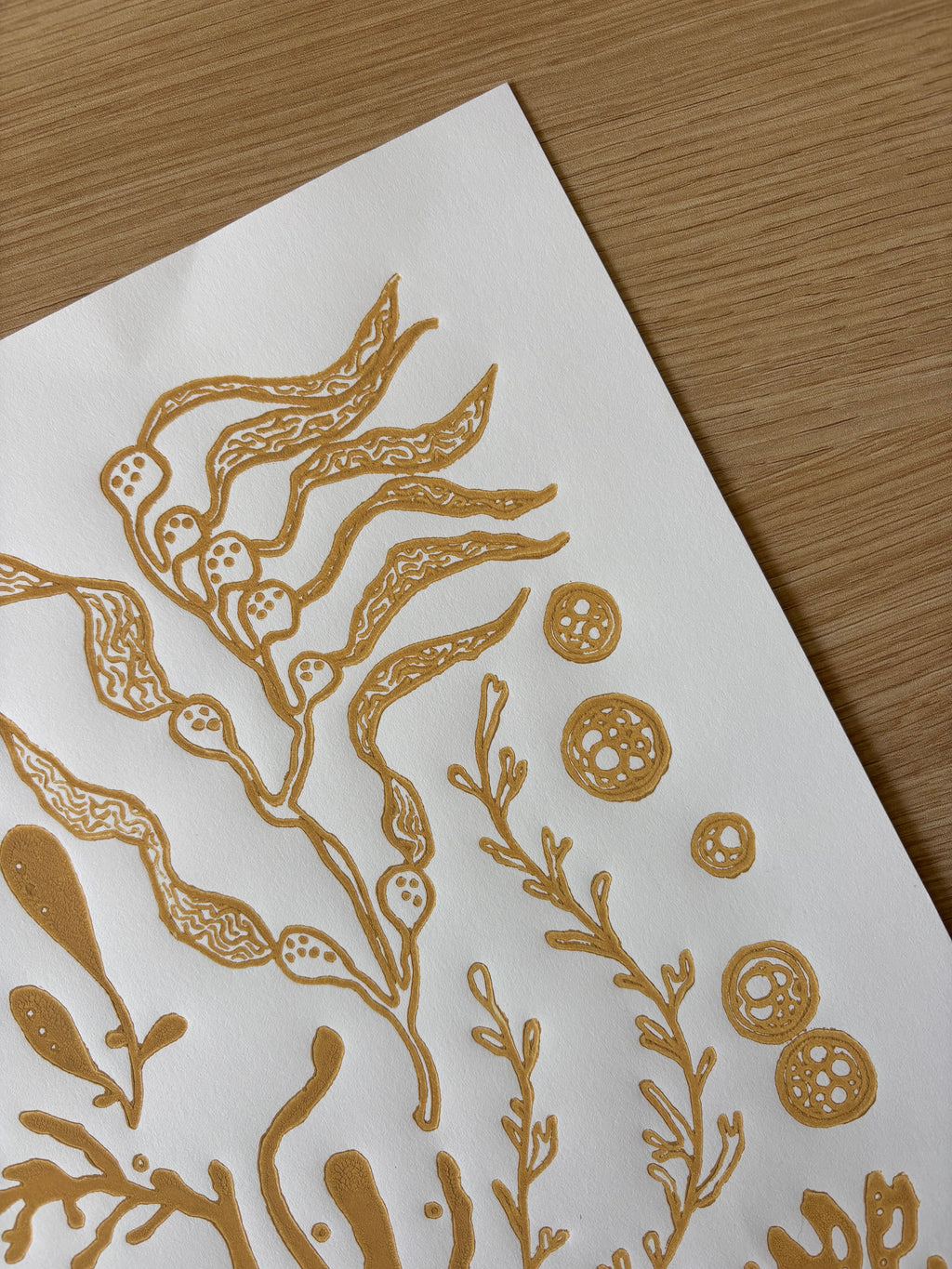 Kelp & Friends